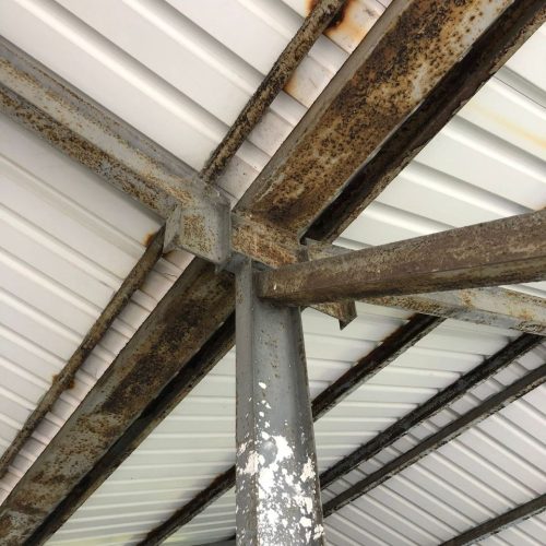 photo_2025-10-14_12-24-52