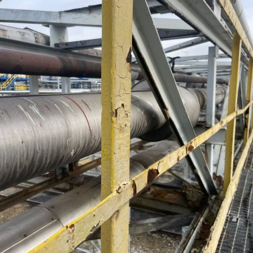 photo_2025-10-14_12-25-13